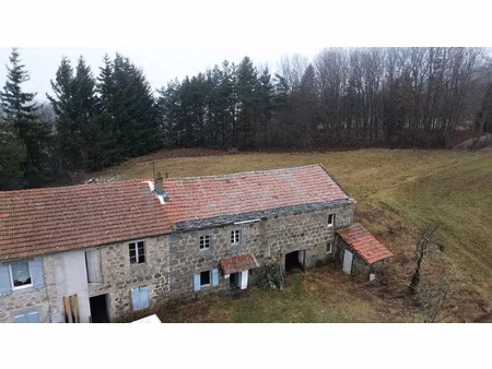 vente maison 4 pièces 150 m² saint-agrève (07320)