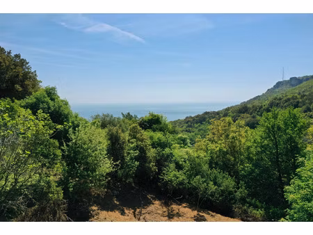 terrain à vendre brando 1724m2 160 000€