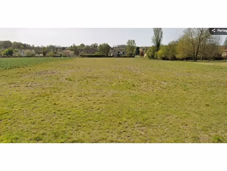 vente terrain 1000 m² à saint-agne (24520)  20 500 €