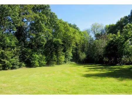 vente terrain à batir 1470 m² à carhaix-plouguer (29270)  31 800 €