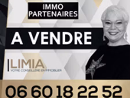 vente terrain 1943 m² à créchy (03150)  34 000 €