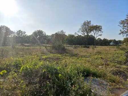vente terrain à trélivan (22100) : à vendre / trélivan