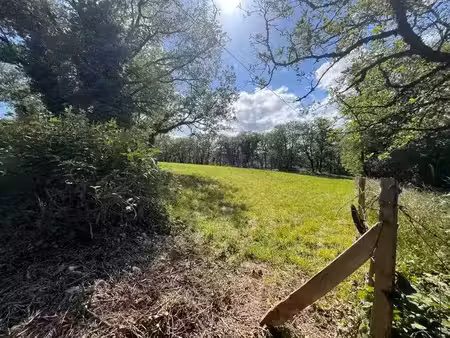 vente terrain 3242 m² à parisot (82160)  38 900 €