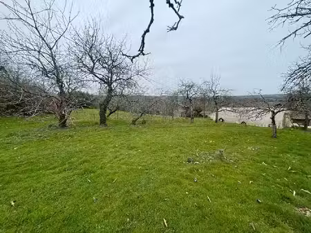 vente terrain à batir 1600 m² à aixe-sur-vienne (87700)  44 800 €