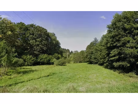 vente terrain 4039 m² à saulxures (67420)  80 000 €