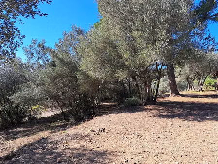 vente terrain 1434 m² à fayence (83440)  220 000 €