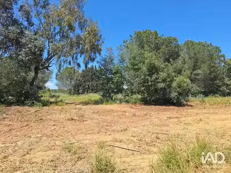 vente terrain 2200 m² à latour-bas-elne (66200)  305 000 €