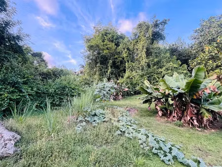vente terrain 1200 m² à les abymes (97139)  165 000 €
