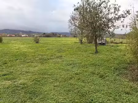 vente terrain 1224 m² à labruguière (81290)  82 500 €