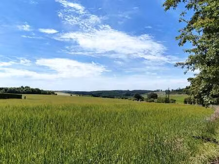 superbe terrain en zone d'habitat et agricole