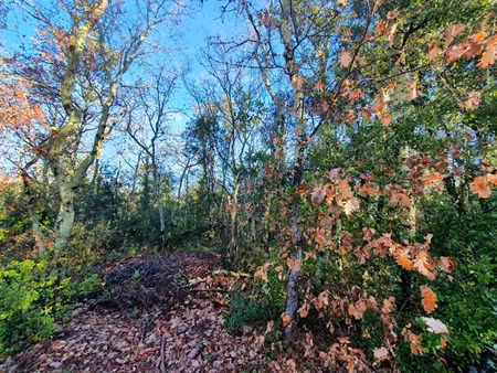 vente terrain 1338 m² à labastide-de-virac (07150)  93 900 €