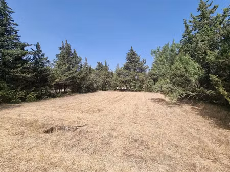 vente terrain 751 m² à grillon (84600)  104 000 €