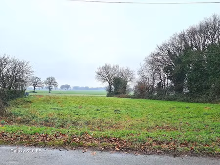 vente terrain à batir 1018 m² à torce (35370)  108 700 €