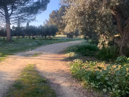 vente terrain 664 m² à saint-chamas (13250)  235 000 €