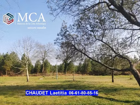 vente terrain 928 m² à salaunes (33160)  239 000 €