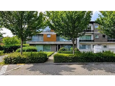 appartement à louer à vuurkruisenlei 43 brasschaat (rbw25481)
