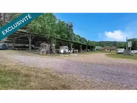 vente locaux professionnels 3 pièces 815 m² à le mas-d'azil (09290)  236 000 €