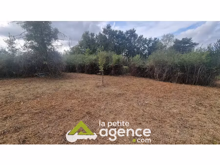 terrain constructible