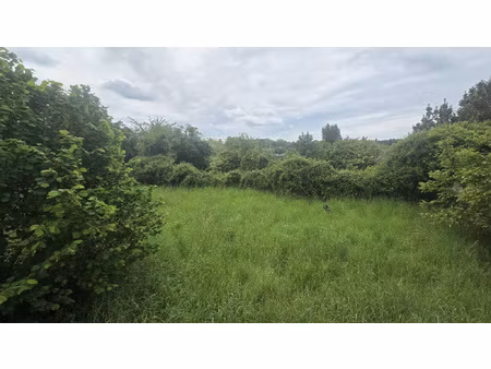 errain constructible de 1498 m2