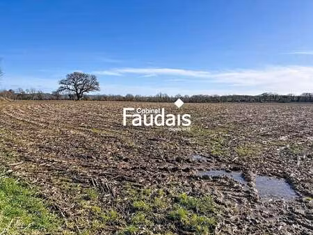 vente terrain à saint-symphorien-le-valois (50250) : à vendre / 65732m² saint-symphorien-l