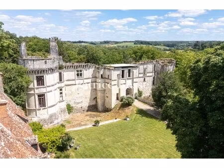 dans l'indre  les ruines d'un château renaissance inscrit mh  une confortable maison...