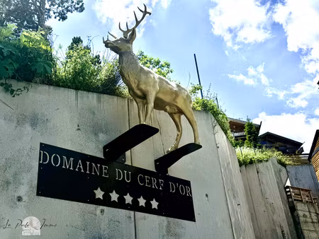 magnifique chalet 3 pièces de 52 m² – environnement idyllique au cœur de la nature