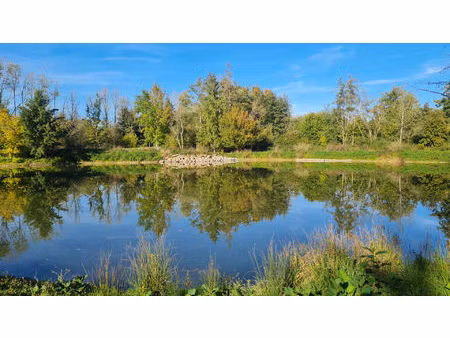 proche maintenon - etang