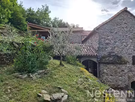 maison en pierre rénovée de 124 m2 avec 7 678 m² de terrain - havre de paix en cévennes