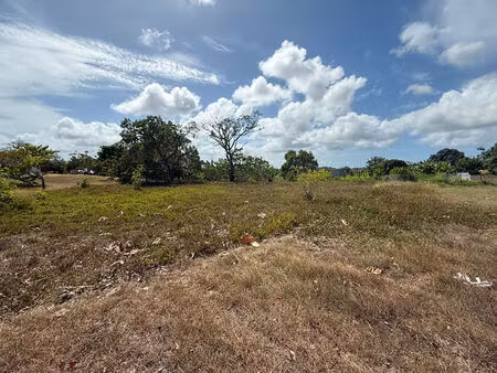 vente terrain  1086.00m²  sainte