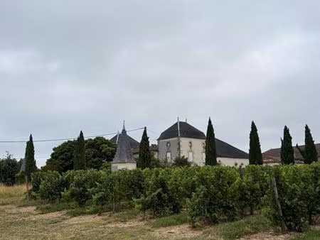 château confidentiel à massugas  dominant les côteaux  entre pellegrue et sauveterre de gu