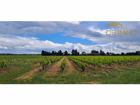 cru cairanne  parcelles de vigne sur 2 ha