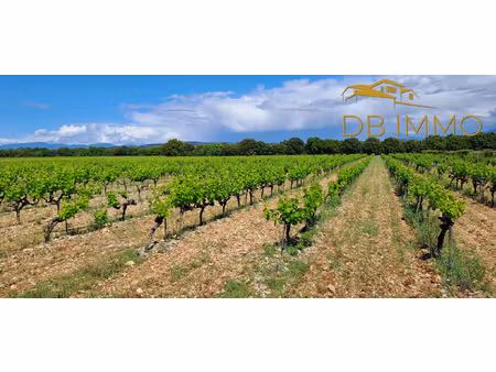 parcelles de vigne sur 5 59 ha vaucluse / drôme (cairanne -