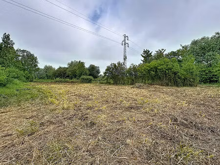 vente terrain  886.00m²  coulogne