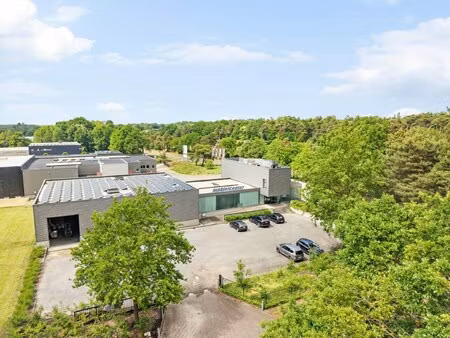 commercieel te huur in genk