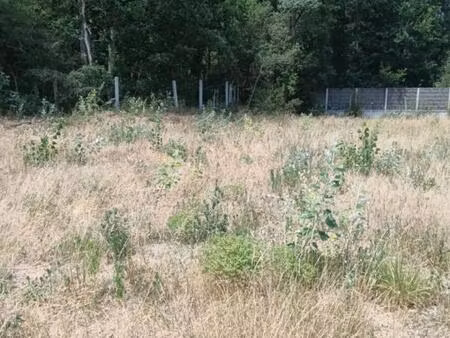 terrain à bâtir de 913 m2 - orouët - saint-jean de monts - 132500 ttc