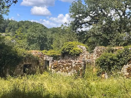 vente maison 0 pièces à thémines (46120)  20 000 €