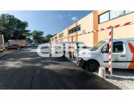 location local d'activités antibes 339 m²