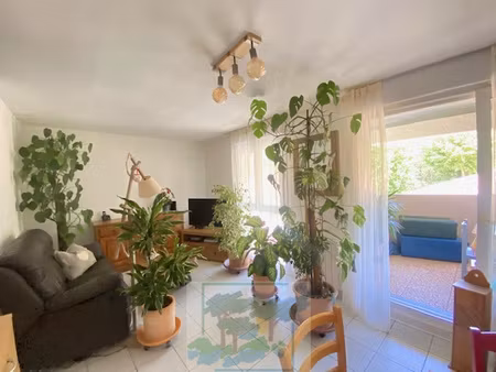 achat appartement 2 pièces 41m² st cyprien 66750