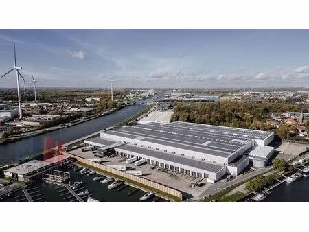 commercieel te huur in willebroek
