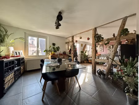 appartement/maison  190m2  jardin  terrasse  wintzenheim