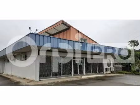 location commerce cayenne 97300 410m²