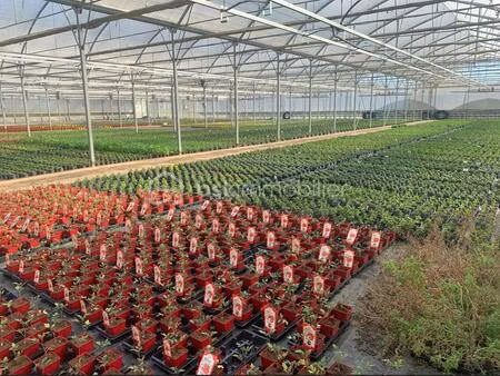 exploitation agricole de 120 m² à saint-martin-d'armagnac
