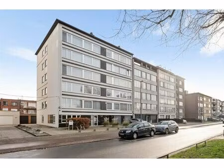commercieel te koop in merksem