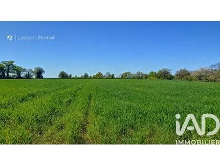 terrain à bâtir à allaire (56350)