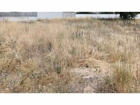 terrain constructible de 911 m2 à saint-jean de monts - 169600