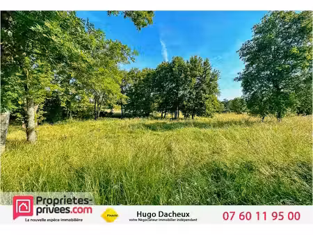 vente terrain 1238 m² brinay (18120)