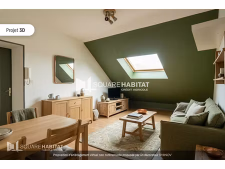 appartement saint sebastien sur loire 3 pièce(s) 38 m2 carrez -62m² au sol