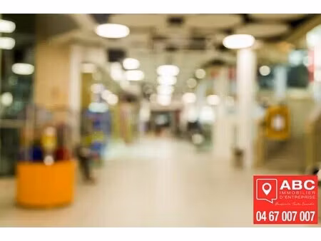 location commerce pia 66380 251m²