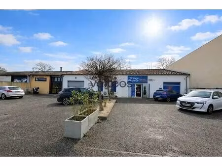 vente commerce plaisance du touch 31830 485m²