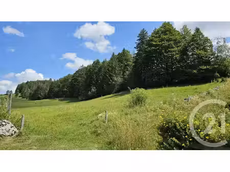 terrain à vendre - 7143 m2 - chaux neuve - 25 - franche-comte